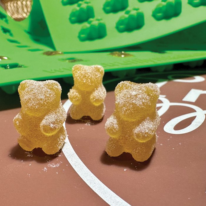 Bear 80 Mold <span style="color: #FF0000;">New!</span> - Image 5