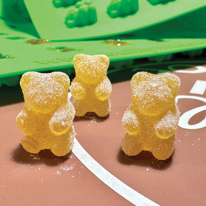Bear 80 Mold <span style="color: #FF0000;">New!</span> - Image 2